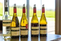 ショー + スミスの写真・動画_image_1183340