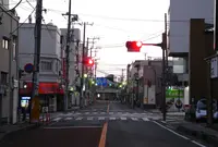 早朝の散歩は超気持ちいいの写真・動画_image_124746
