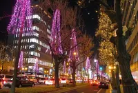 御堂筋の写真・動画_image_126461
