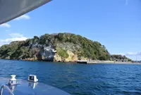 猿島の写真・動画_image_127233
