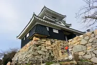 浜松城の写真・動画_image_127248