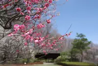秩父ミューズパークの写真・動画_image_130167