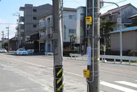 馬専用の押しボタンが存在するの写真・動画_image_130452