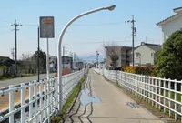 馬専用レーンが存在するの写真・動画_image_130456