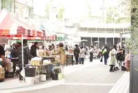 ヒルズマルシェの写真・動画_image_131837