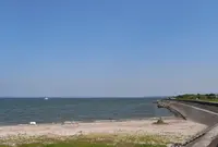 河和の海岸の写真・動画_image_131930