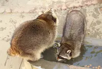 万力公園の写真・動画_image_132236