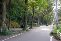 旧リバーサイド道路の写真・動画_image_132451