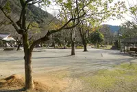 岐阜公園の写真・動画_image_132460