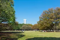 明治神宮野球場の写真・動画_image_135489