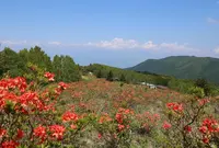 五味池破風高原の写真・動画_image_136006