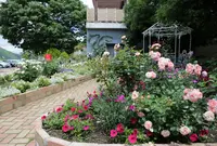 湯っ蔵んどの写真・動画_image_136007