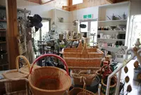 ガーデンソイルの写真・動画_image_136008