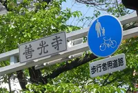 善光寺中央通りの写真・動画_image_137375