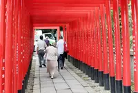 三光稲荷神社の写真・動画_image_140690