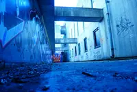 ワンダーフォーゲルフィールドの写真・動画_image_145015