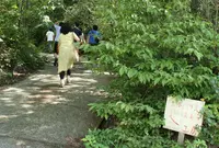 越前焼 土本工房の写真・動画_image_146618