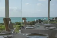 イビスキュスの写真・動画_image_147388