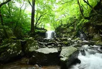 マゼノ渓谷の写真・動画_image_152736