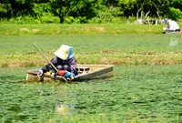三種町の写真・動画_image_1543358