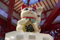 大須商店街連盟の写真・動画_image_155354