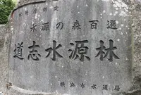 山伏峠付近の写真・動画_image_157784