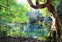 丸池様の写真・動画_image_1578778