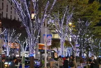 大津通の写真・動画_image_158138