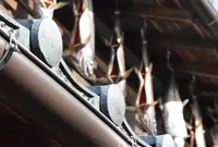 庄内町の写真・動画_image_158441
