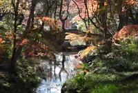 有栖川宮記念公園の写真・動画_image_159978