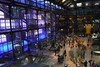 Muséum national d'Histoire naturelle（国立自然史博物館）の写真・動画_image_161988