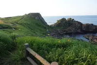 葦毛崎展望台の写真・動画_image_1626725