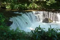 さくらの滝の写真・動画_image_1636706