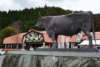 村岡ファームガーデンの写真・動画_image_167738