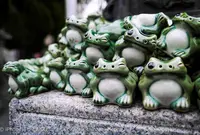 木之本地蔵院の写真・動画_image_168144