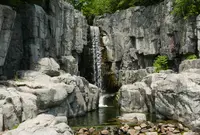 木曽川水園の写真・動画_image_177093