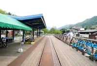 レールマウンテンバイクの写真・動画_image_178107
