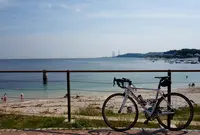観音崎公園の写真・動画_image_180060