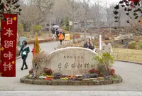道の駅 日本昭和村の写真・動画_image_180740