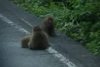 立山駅の写真・動画_image_184308