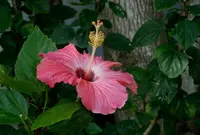 ユートピアファーム宮古島の写真・動画_image_186754