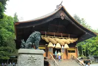 諏訪大社下社秋宮の写真・動画_image_192446