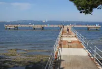 佐久島海釣りセンターの写真・動画_image_193673