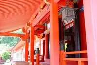 南宮大社の写真・動画_image_205691
