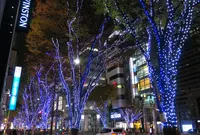 大津通の写真・動画_image_208489