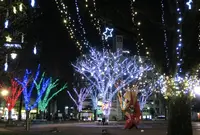 池田公園の写真・動画_image_209273