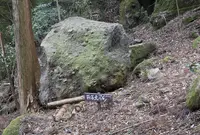 免の石の写真・動画_image_212543