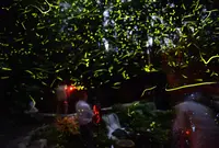 池山水源の写真・動画_image_212595