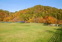 奥沢パークゴルフ場の写真・動画_image_217597