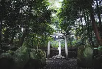 木嶋坐天照御魂神社（蚕ノ社）の写真・動画_image_220122